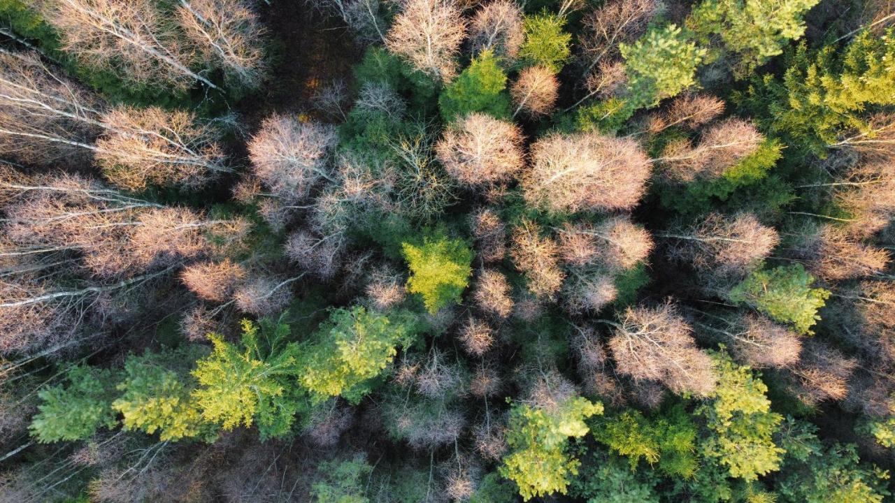 Mysig Och Modern Stuga Pa Snoegard, Naera Havet Och Naturen Lur  Bagian luar foto