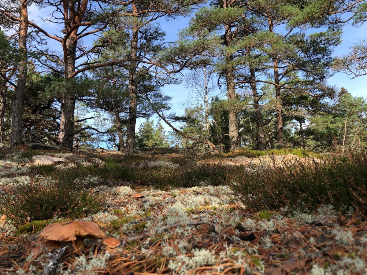 Mysig Och Modern Stuga Pa Snoegard, Naera Havet Och Naturen Lur  Bagian luar foto
